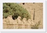 EGY_0415 * 3872 x 2592 * (6.85MB)